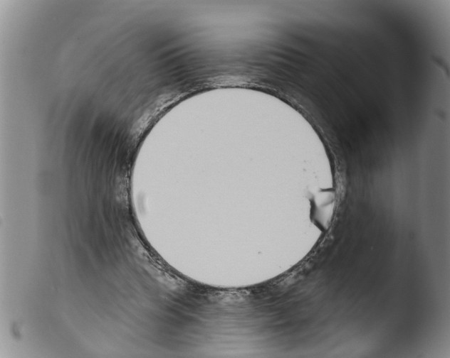 X0000103460345200810240954