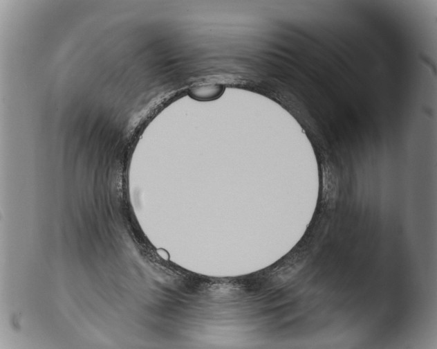 X0000103460348200810240954