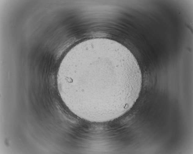 X0000103460351200810240954
