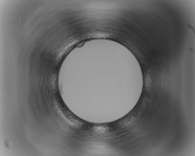 X0000103460352200810240954