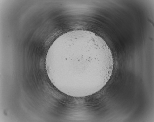 X0000103460353200810240955