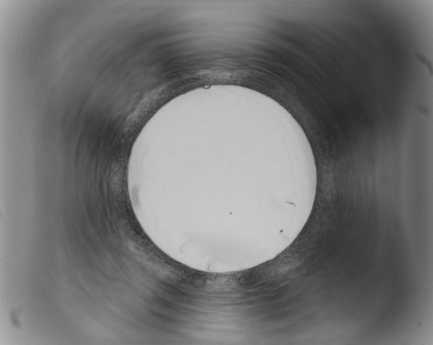 X0000103460357200810240955