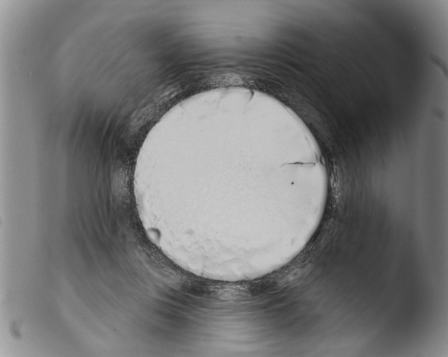 X0000103460359200810240955