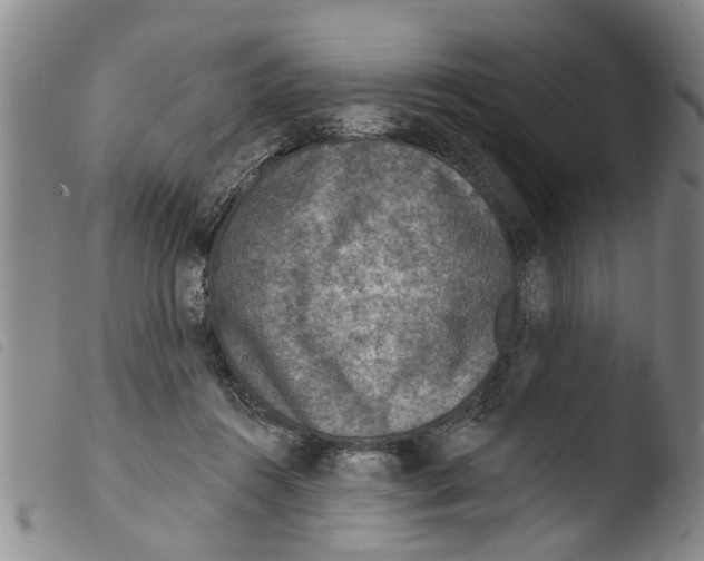 X0000103460360200810240955