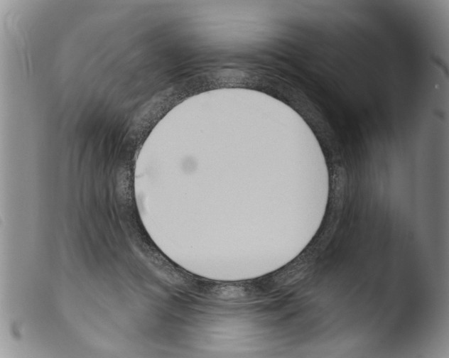 X0000103460361200810240955