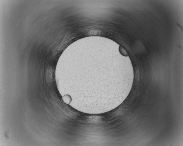 X0000103460363200810240955