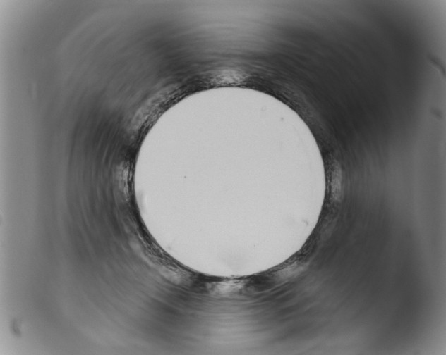 X0000103460366200810240955