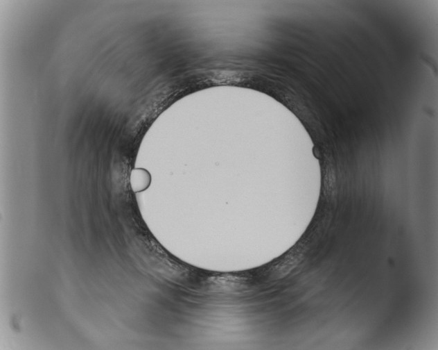 X0000103460367200810240955