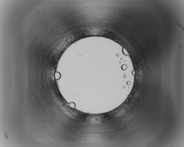 X0000103460368200810240955