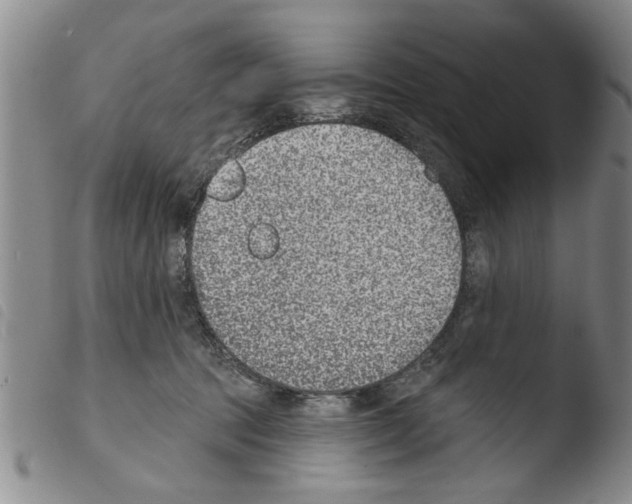X0000103460369200810240955