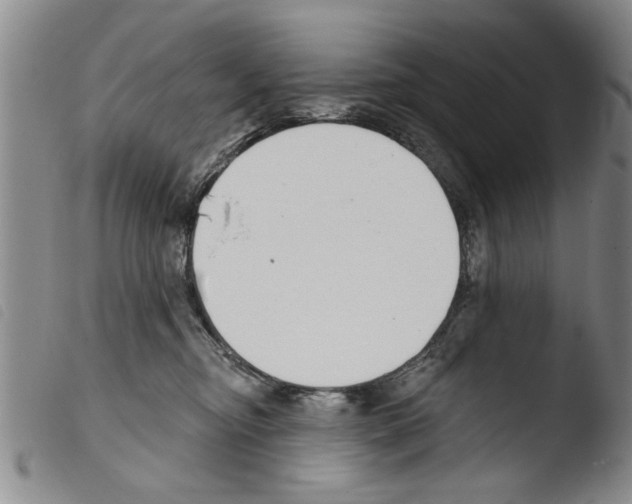 X0000103460374200810240955