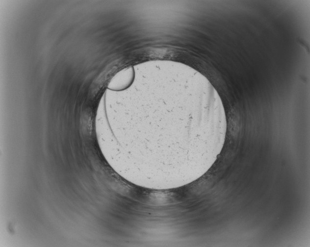 X0000103460375200810240955