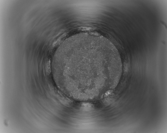 X0000103460376200810240955