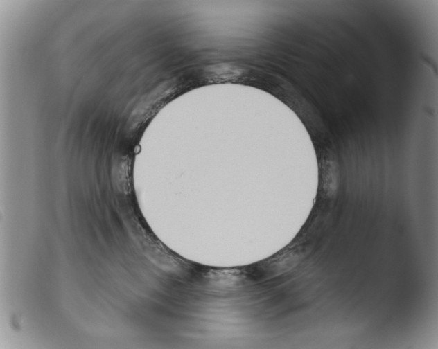 X0000103460378200810240955