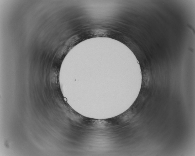 X0000103460379200810240955