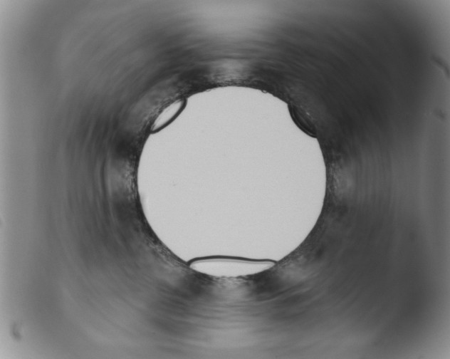 X0000103460380200810240955