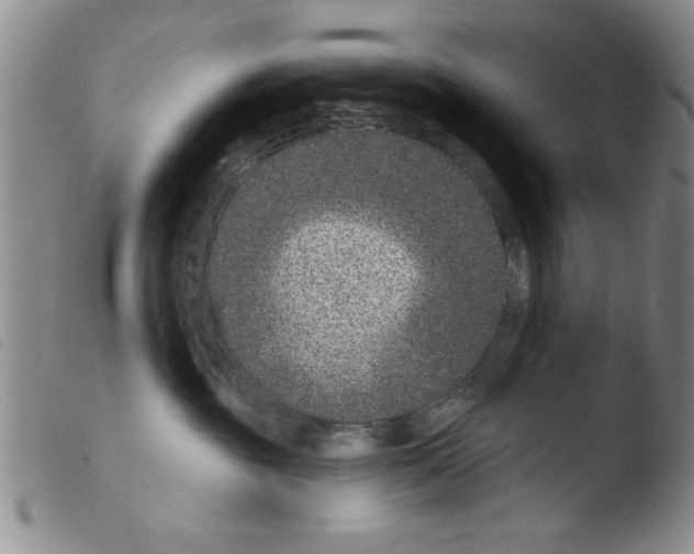 X0000103460381200810240955