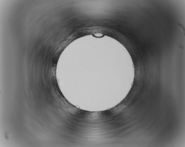 X0000103460382200810240955