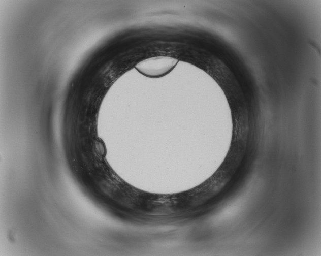 X0000103460383200810240955