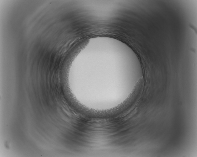 X0000103460384200810240955