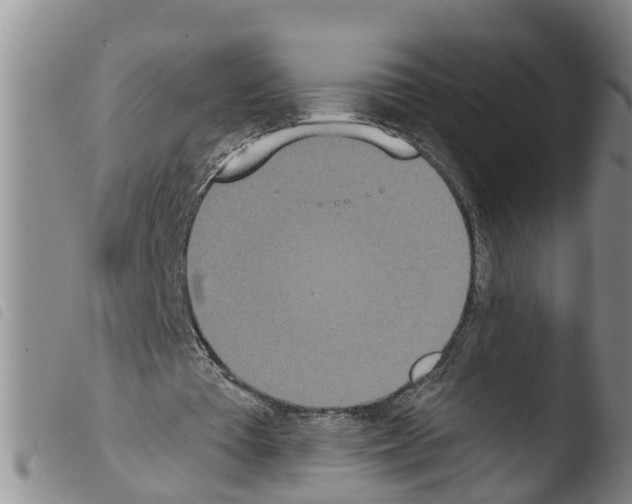 X0000103460385200810240954