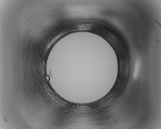 X0000103460387200810240954