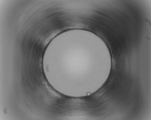 X0000103460389200810240954