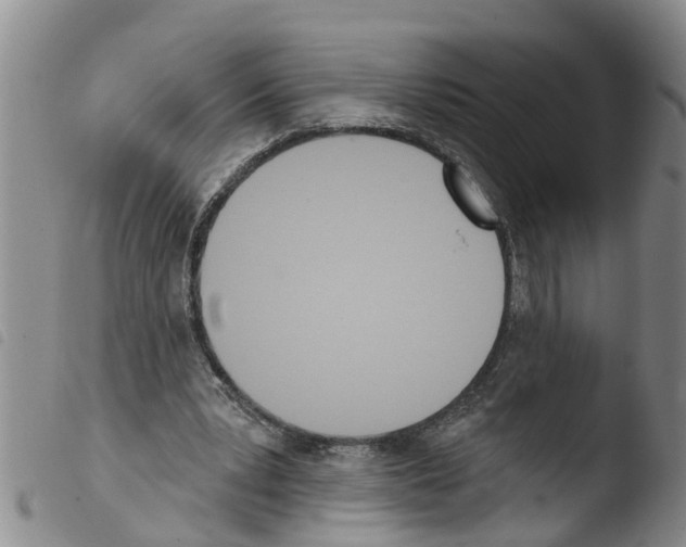 X0000103460391200810240954