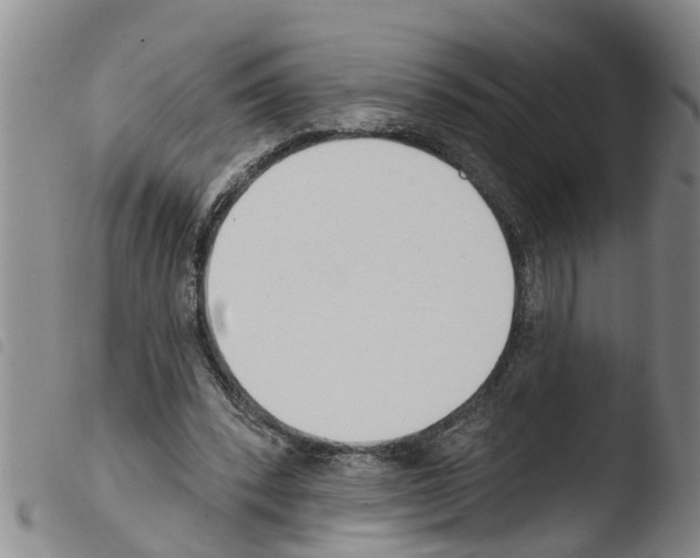 X0000103460392200810240954