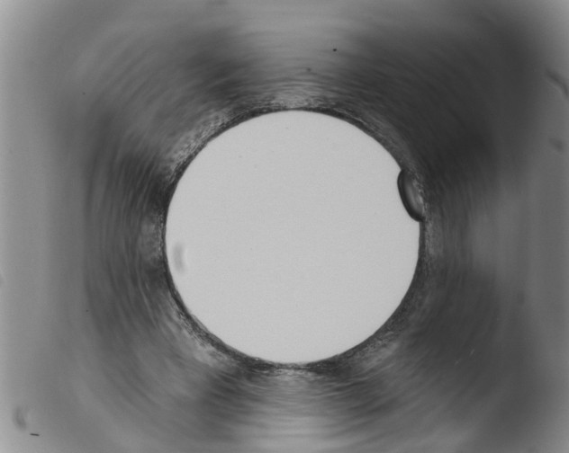 X0000103460393200810240954