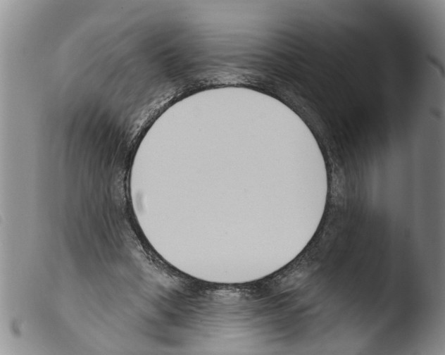 X0000103460394200810240954