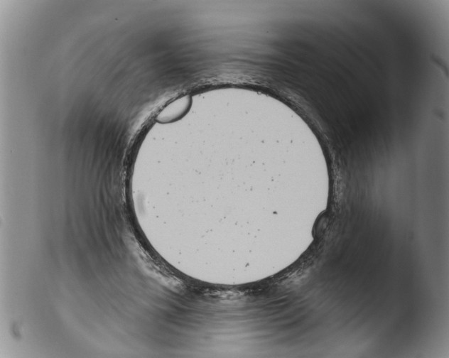 X0000103460395200810240954