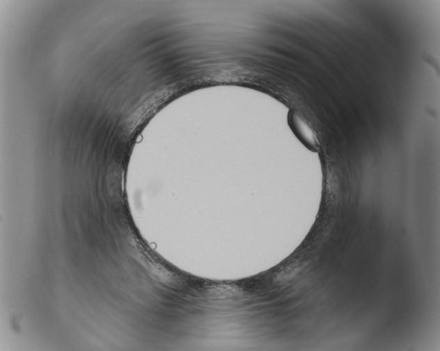 X0000103460397200810240954