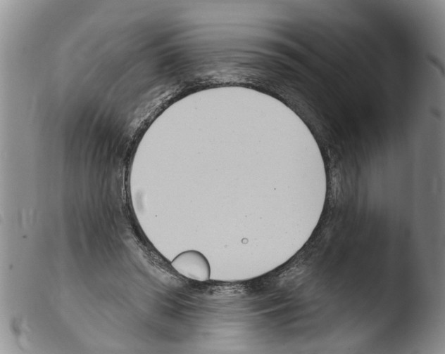 X0000103460398200810240954