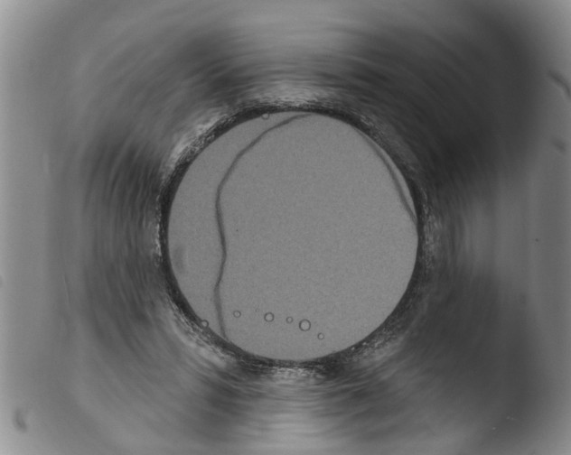 X0000103460399200810240954