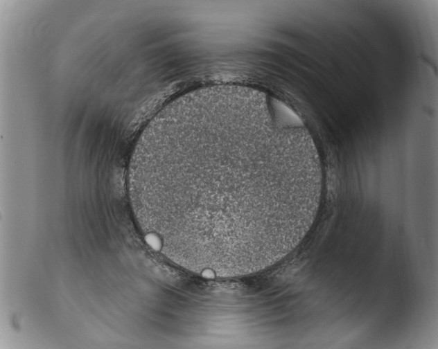 X0000103460401200810240954