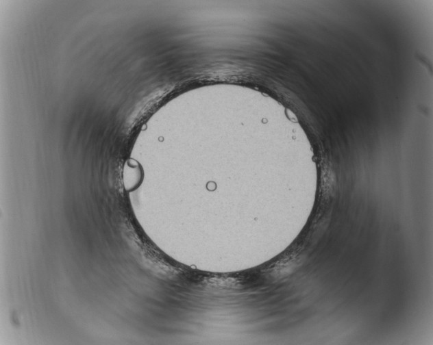 X0000103460403200810240954