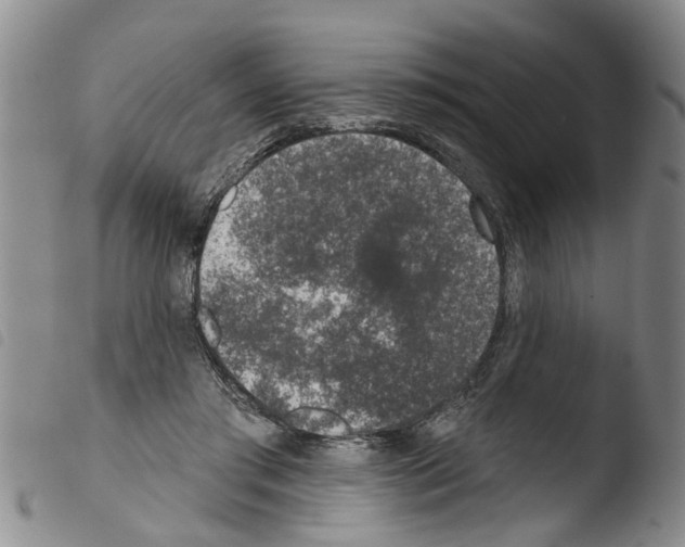 X0000103460405200810240954