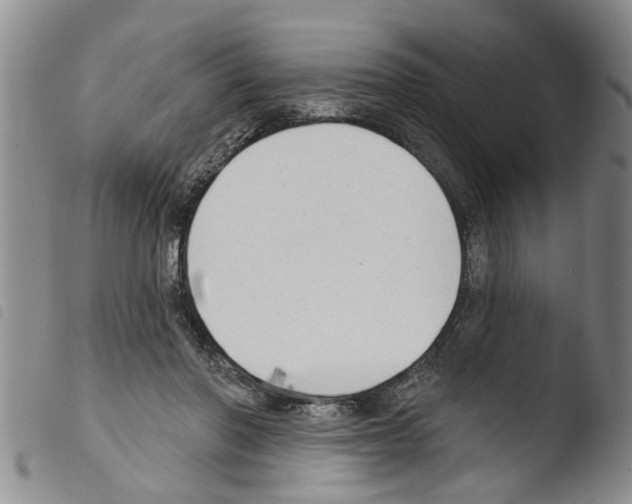 X0000103460406200810240954