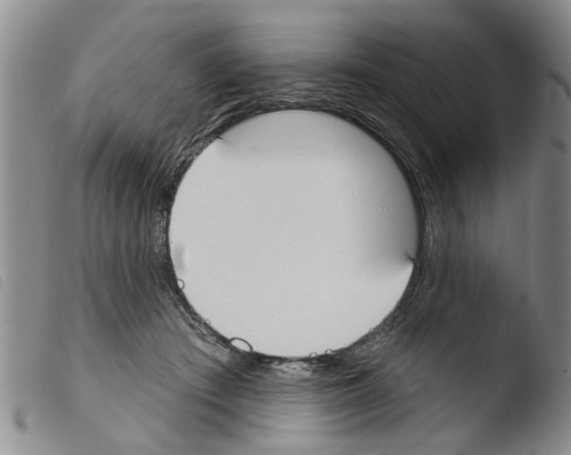 X0000103460409200810240954