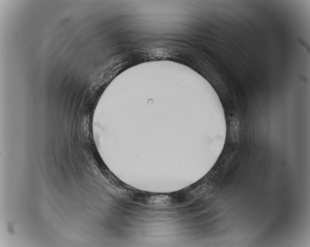 X0000103460410200810240954