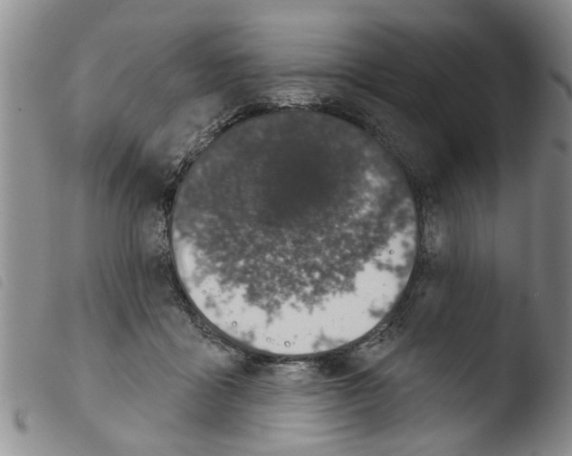 X0000103460411200810240954
