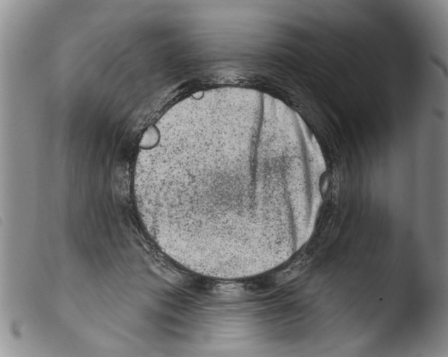 X0000103460413200810240954