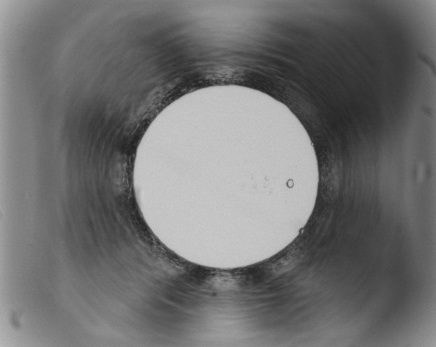 X0000103460416200810240954