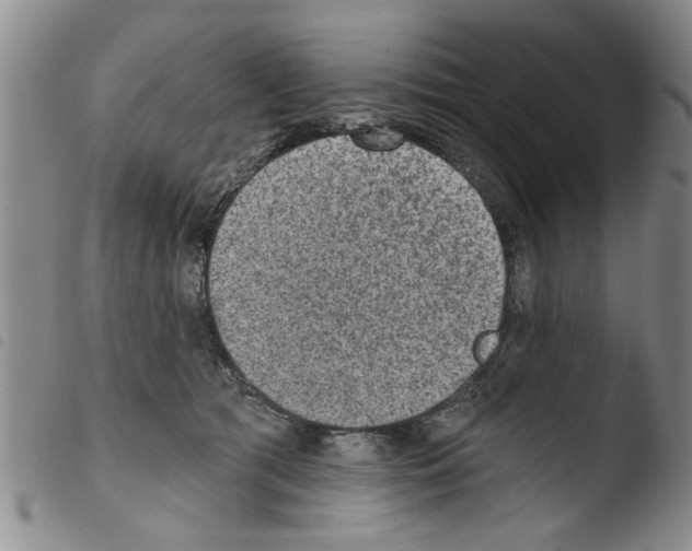 X0000103460417200810240954