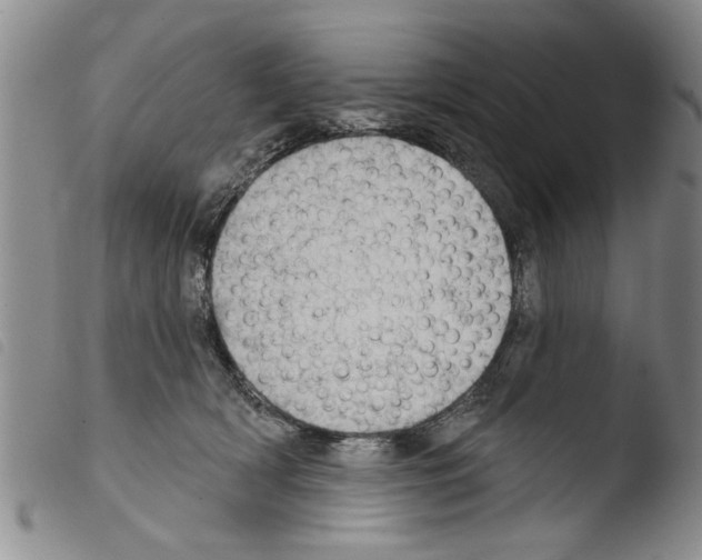X0000103460418200810240954