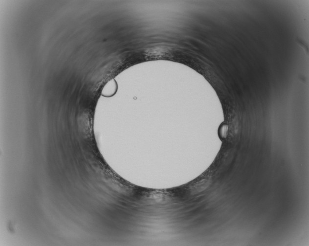 X0000103460420200810240954