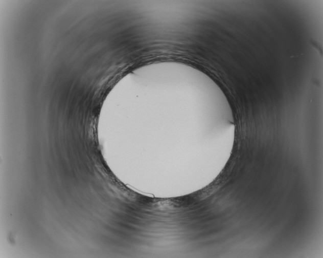X0000103460423200810240954