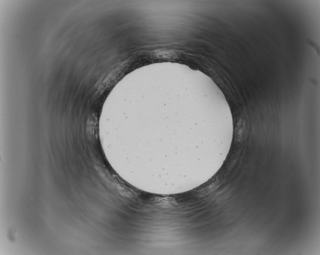 X0000103460424200810240954