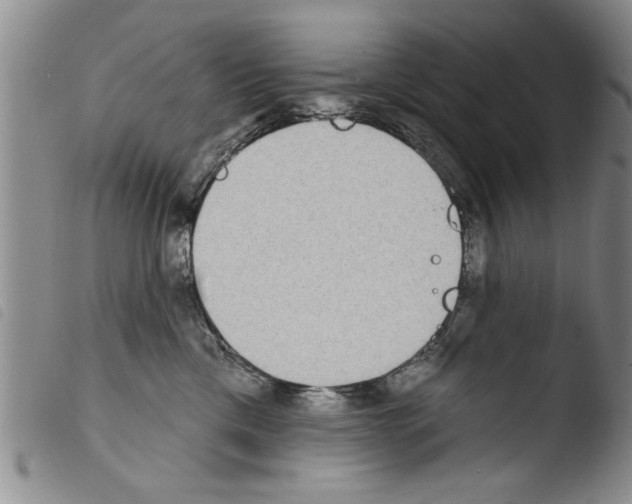 X0000103460425200810240954